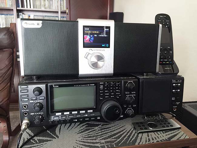 Amadeus Lacuna Large